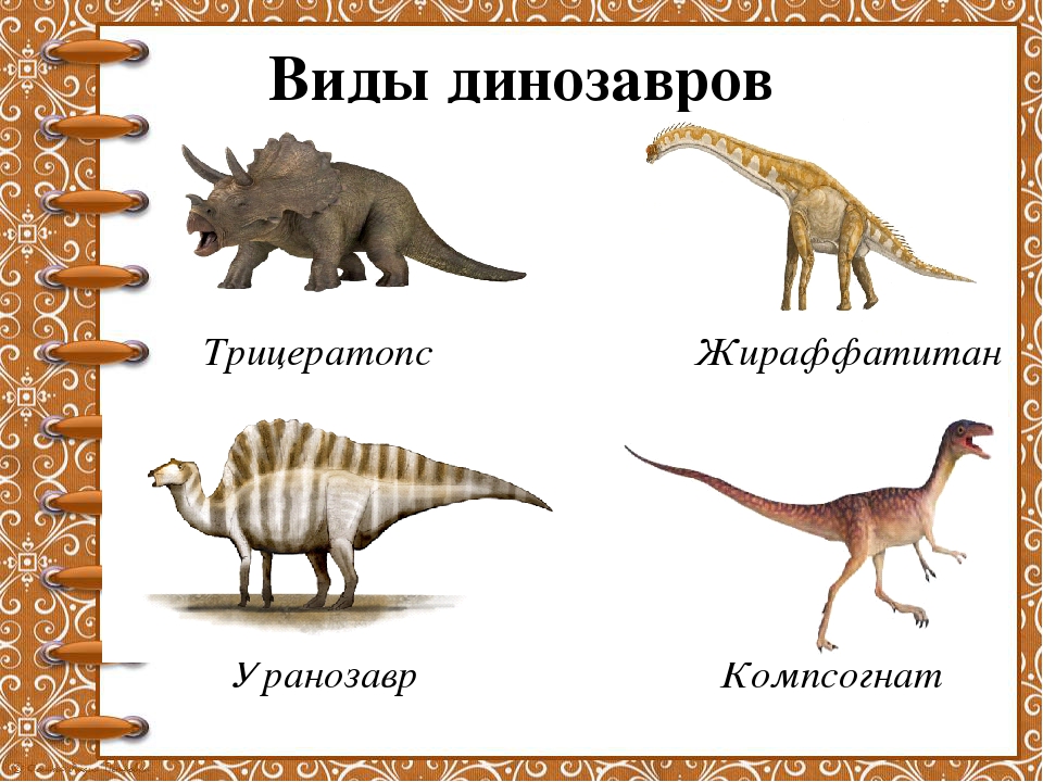 Открытки